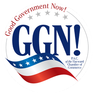 Good Government Now logo